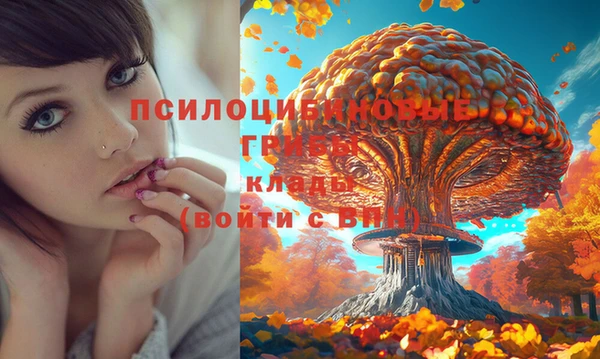 метадон Новокубанск