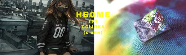 шишки Новозыбков