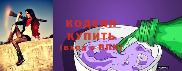 шишки Новозыбков