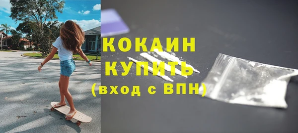 шишки Новозыбков