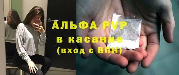 шишки Новозыбков