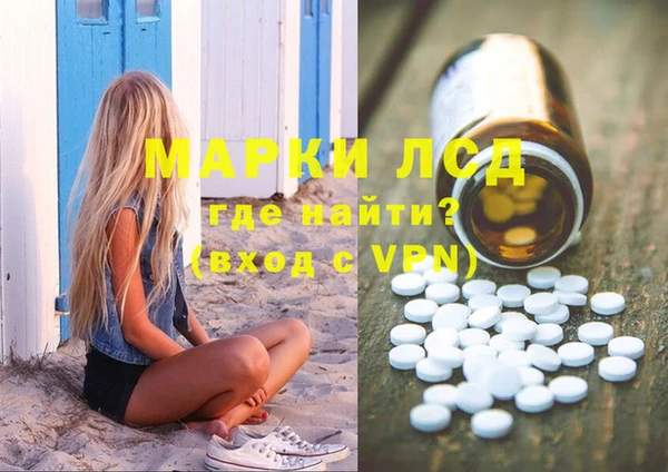 шишки Новозыбков