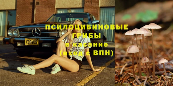 МДМА Новодвинск