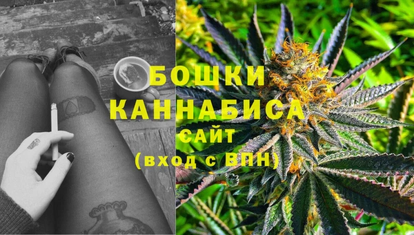 первитин Новозыбков