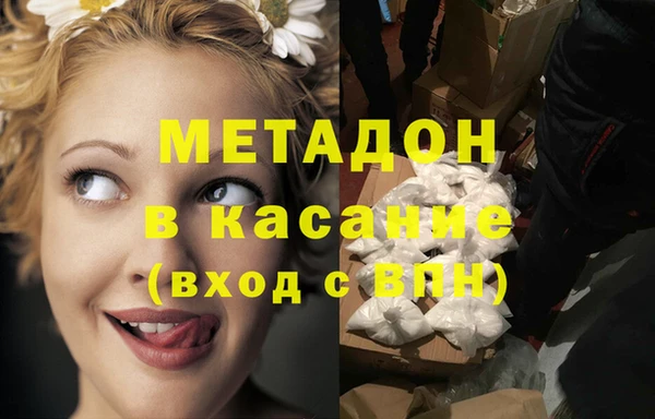 шишки Новозыбков