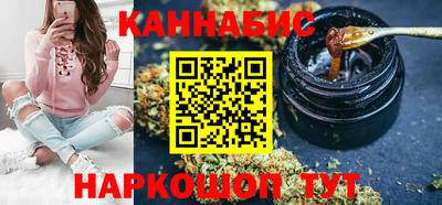 крисы Нальчик