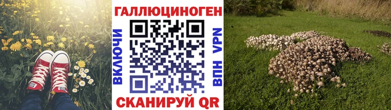 что такое наркотик  Сургут  Псилоцибиновые грибы Cubensis 