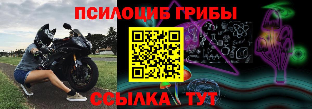 Псилоцибиновые грибы мухоморы Сургут