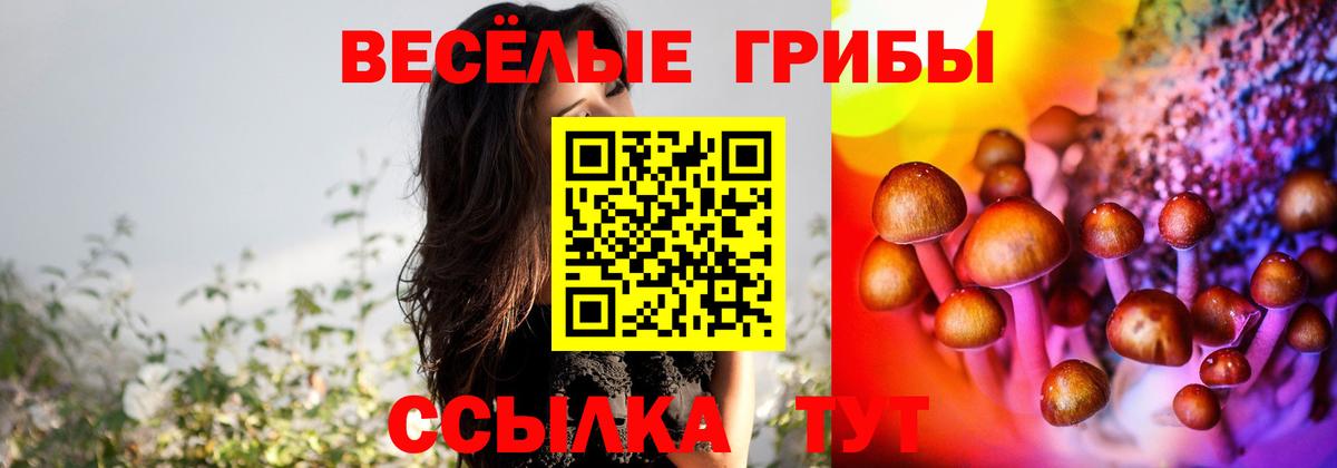 Галлюциногенные грибы Cubensis  Сургут 